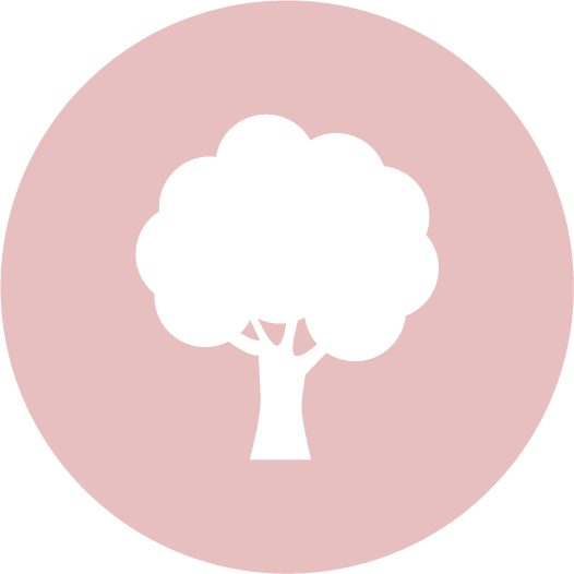 Environment